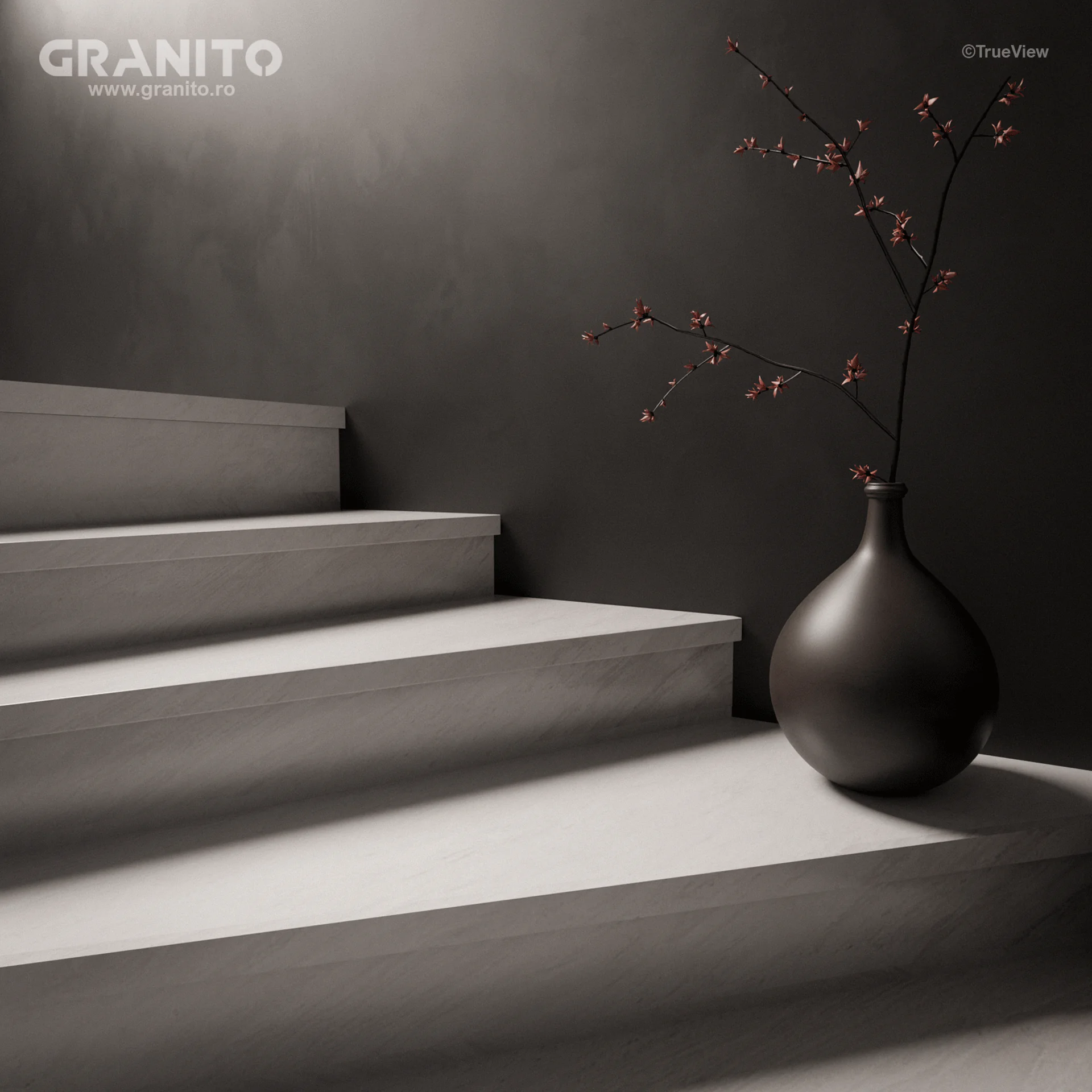 Trepte și Contratrepte Marmură Rușchița Alb - Image 1