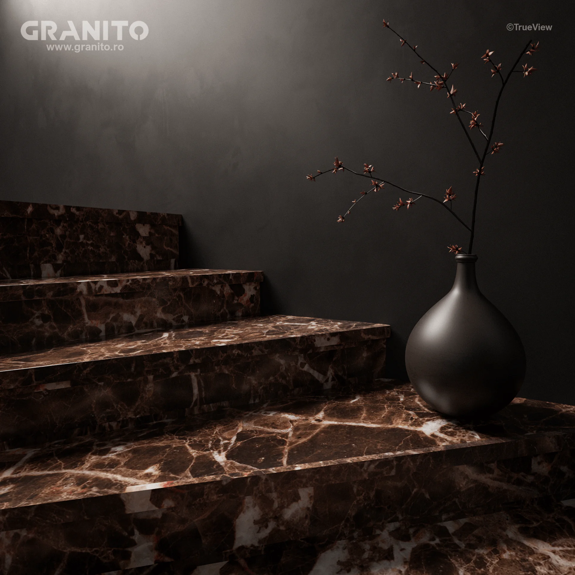 Trepte și Contratrepte Marmură Emperador Dark - Image 1