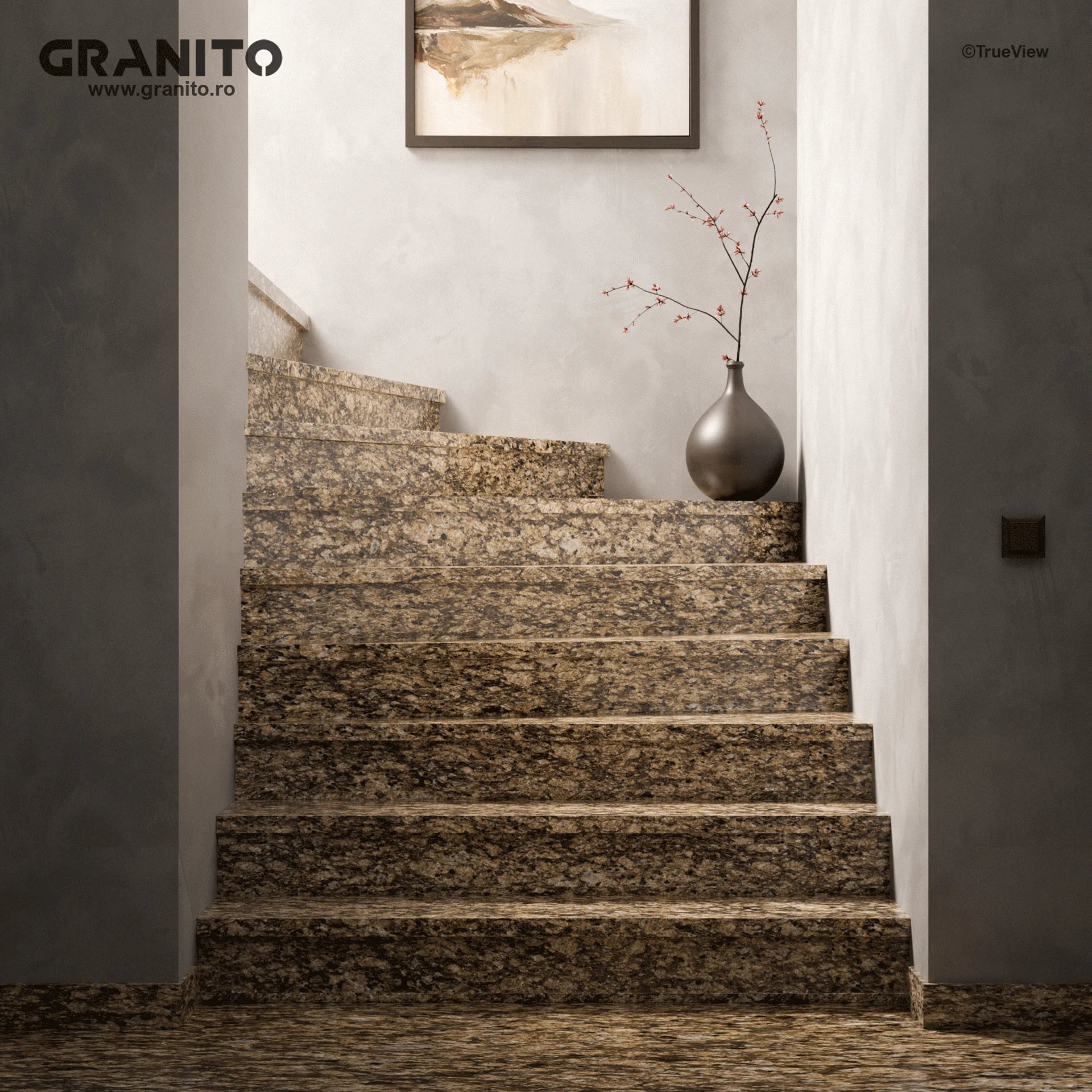Trepte și Contratrepte Granit Veneciatus - Image 1