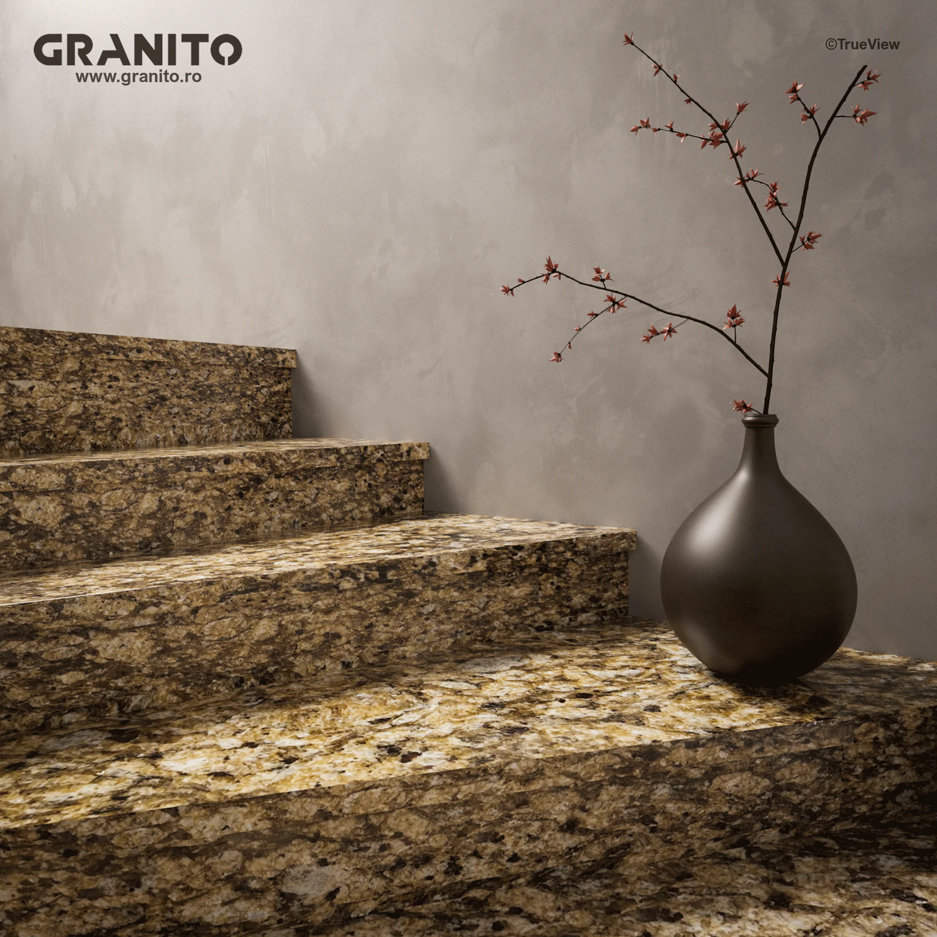 Granit Veneciatus - Image 4