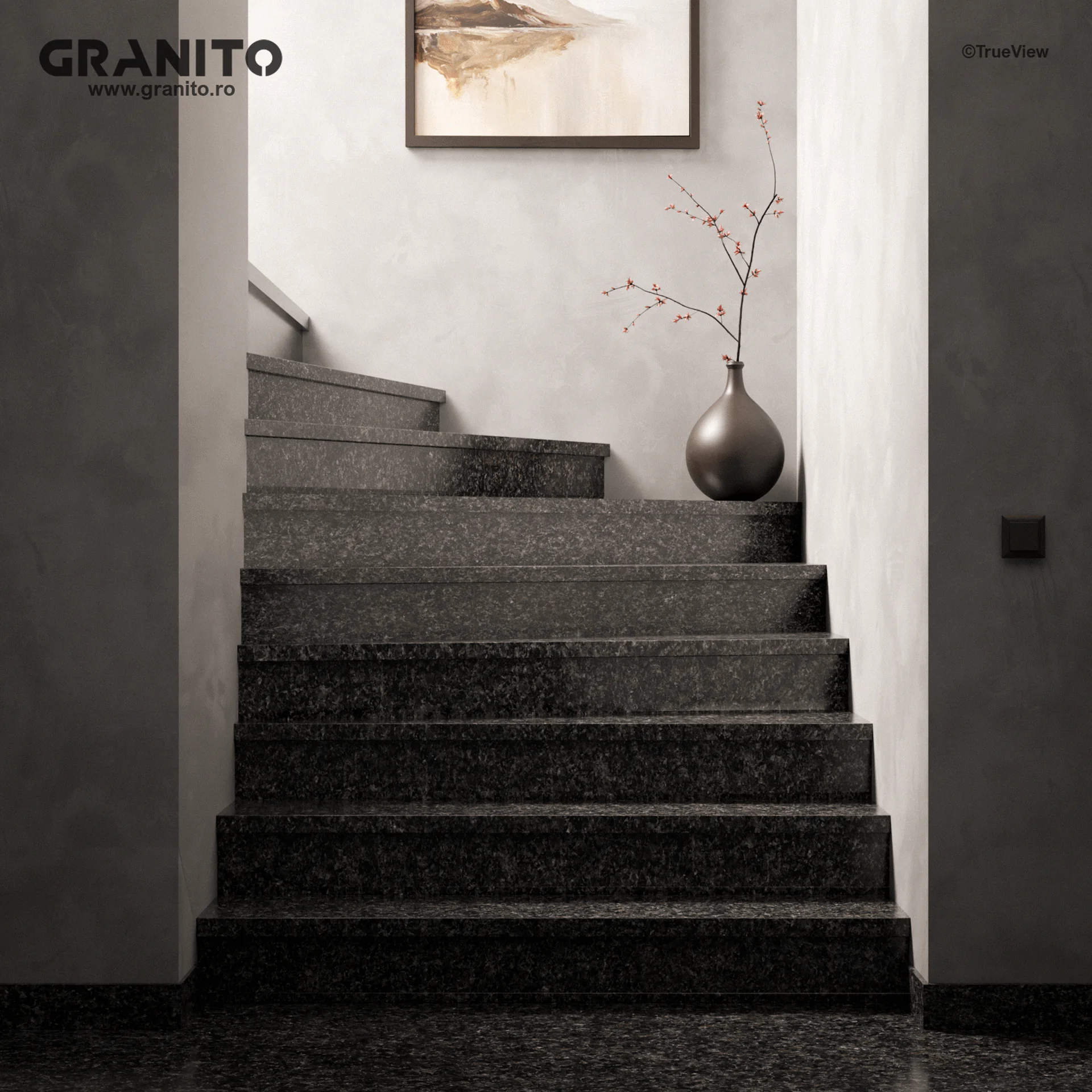 Trepte și Contratrepte Granit Nero Africa - Image 2