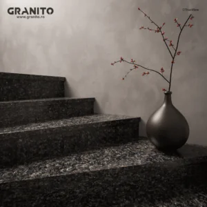 Trepte și Contratrepte Granit Nero Africa