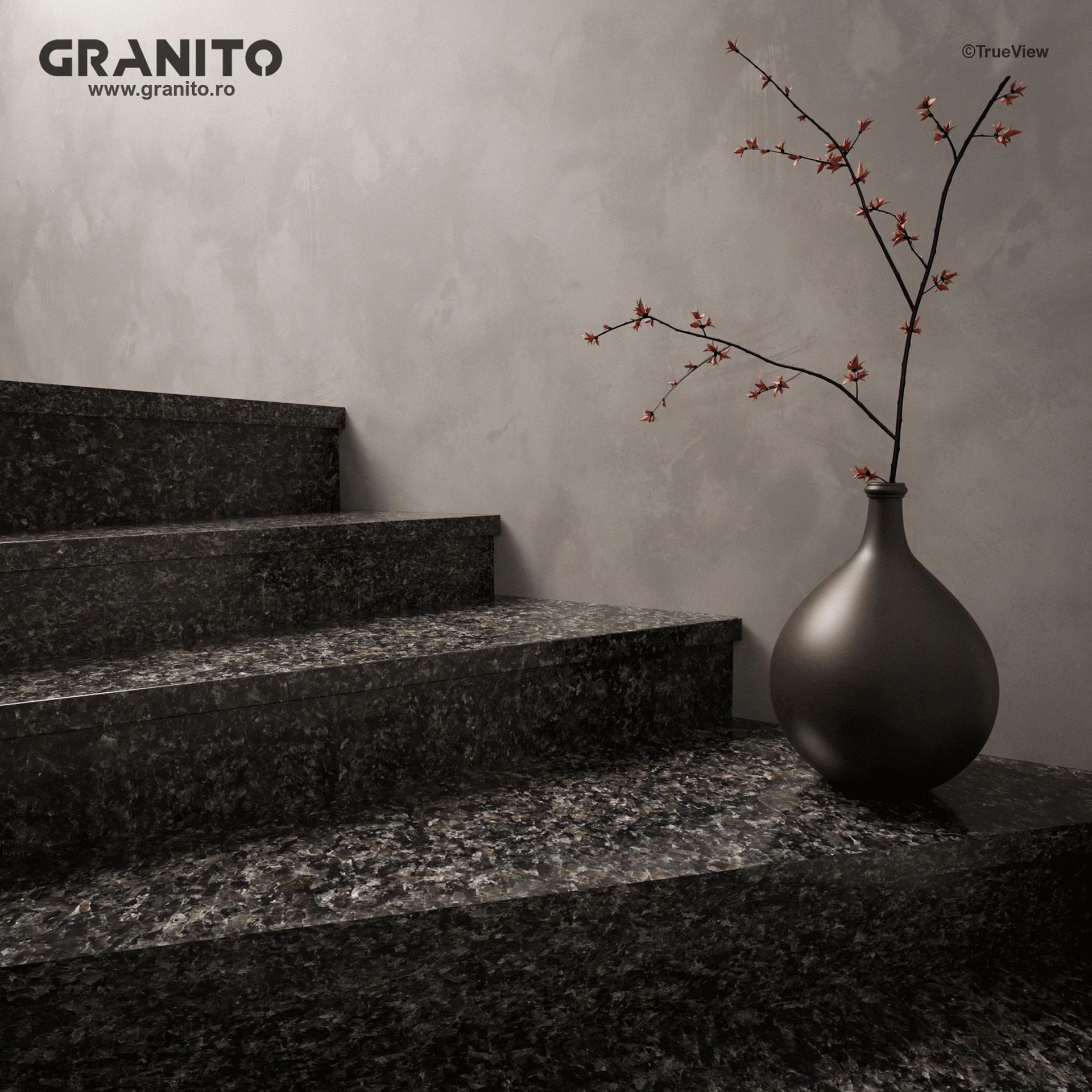 Trepte și Contratrepte Granit Nero Africa - Image 1