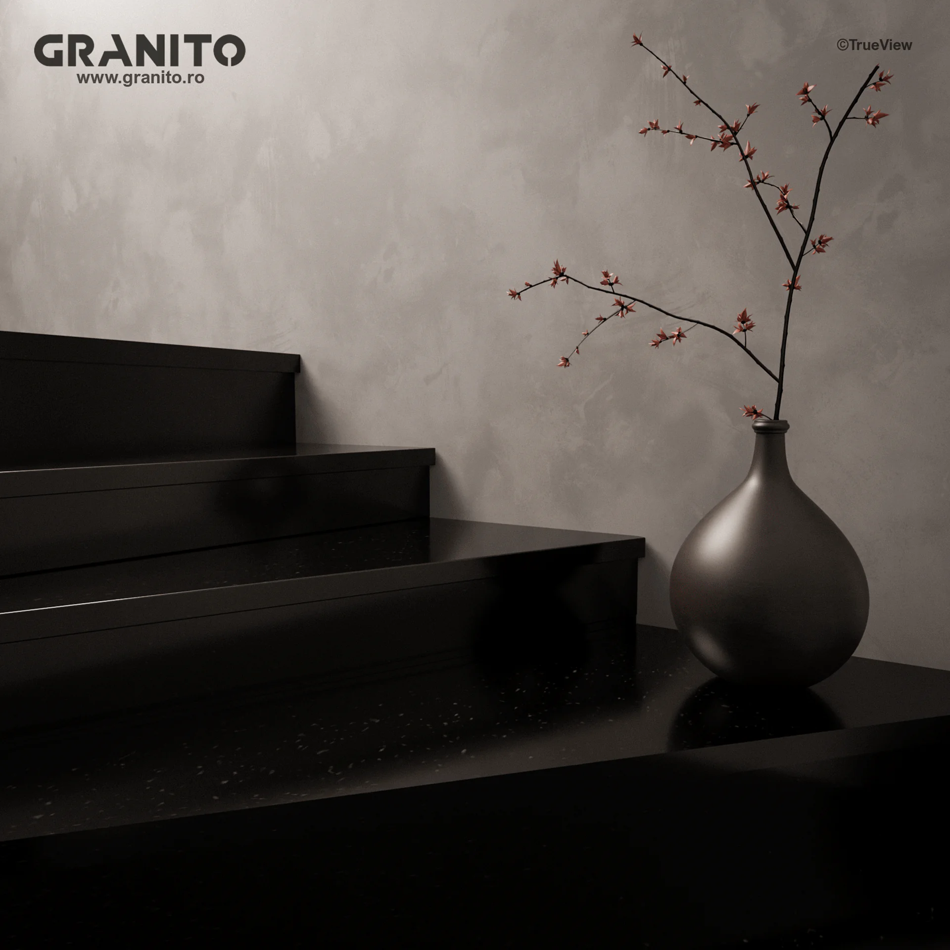 Trepte și Contratrepte Granit Negru Absolut - Image 2