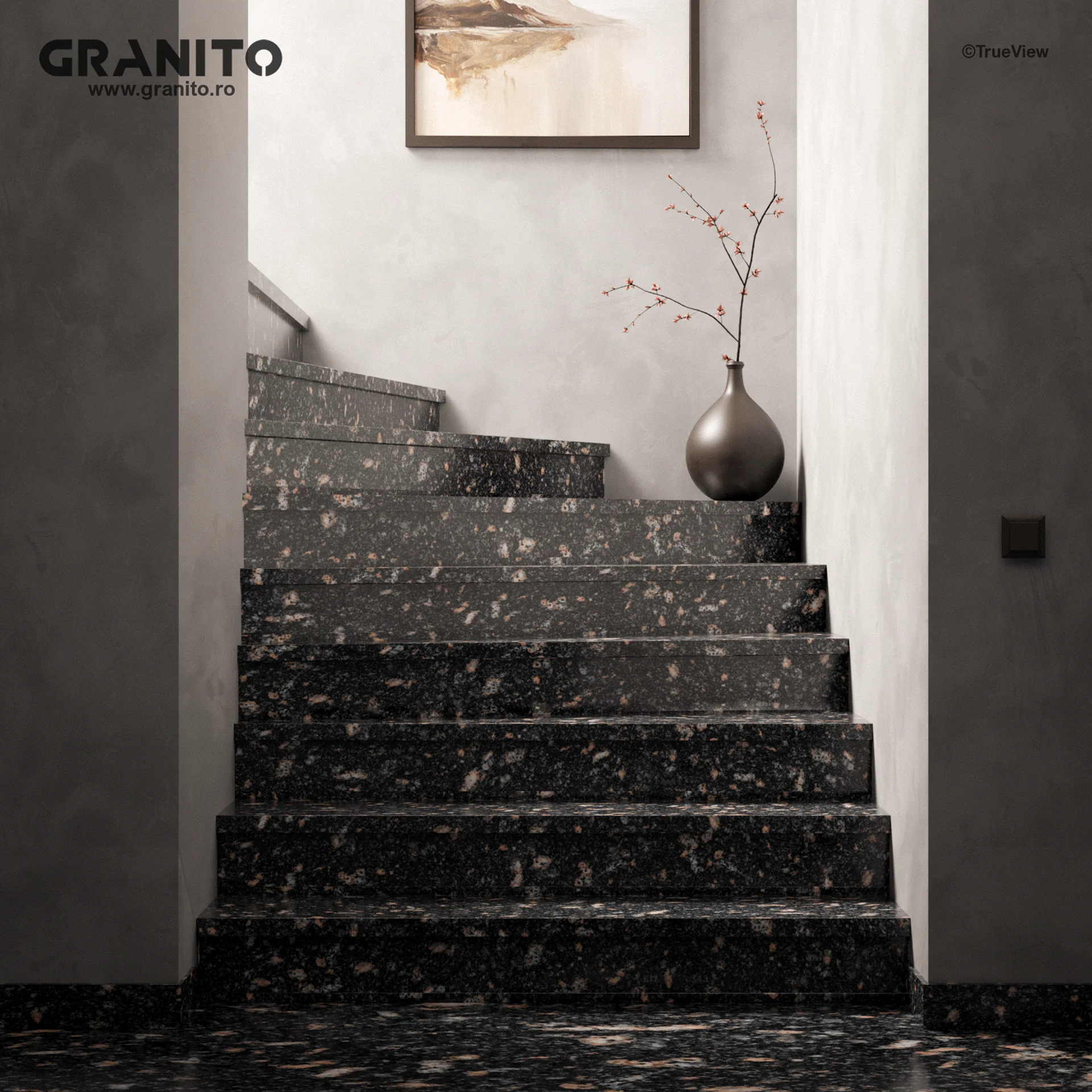 Trepte și Contratrepte Granit Black Aswan - Image 2