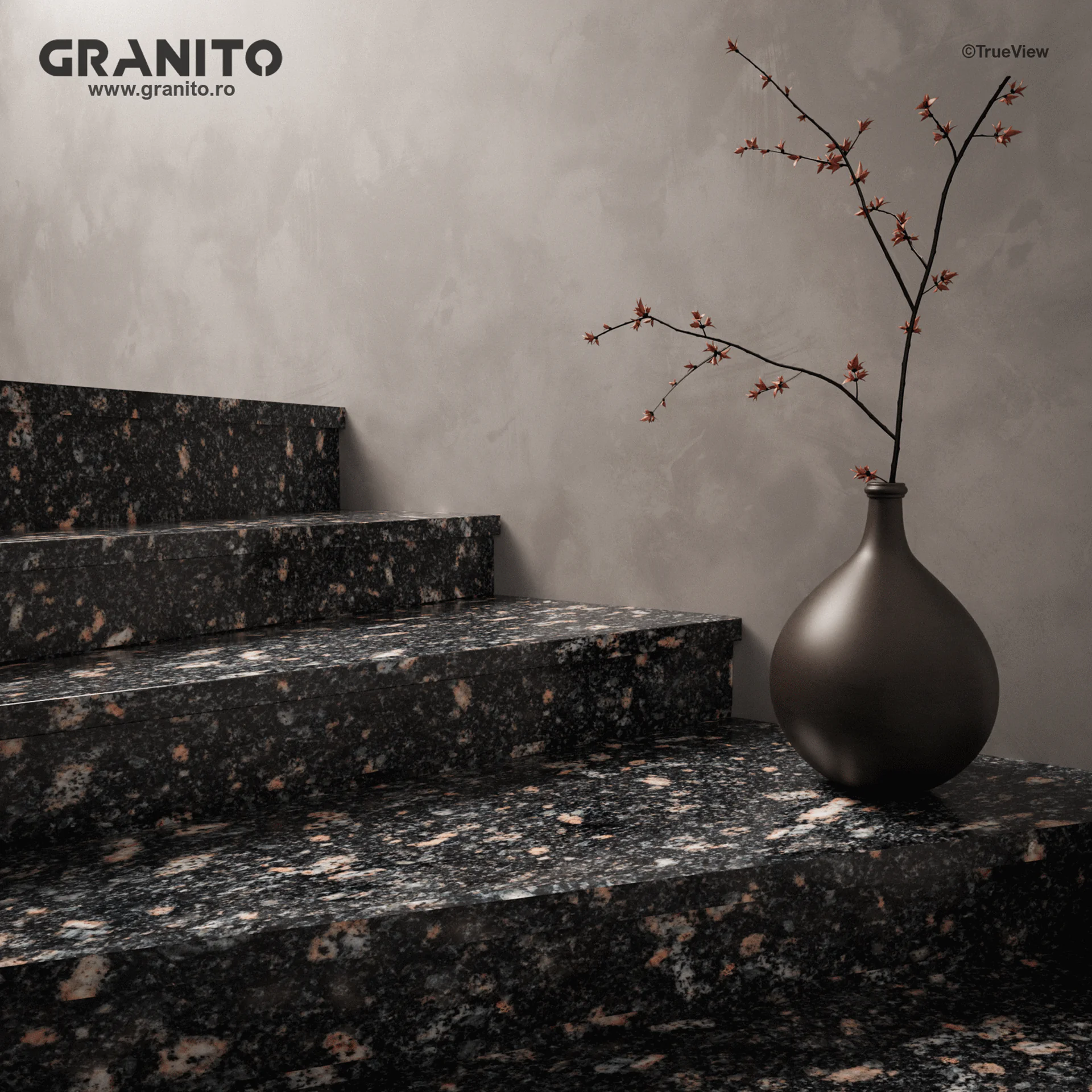 Black Aswan Granite - Image 2