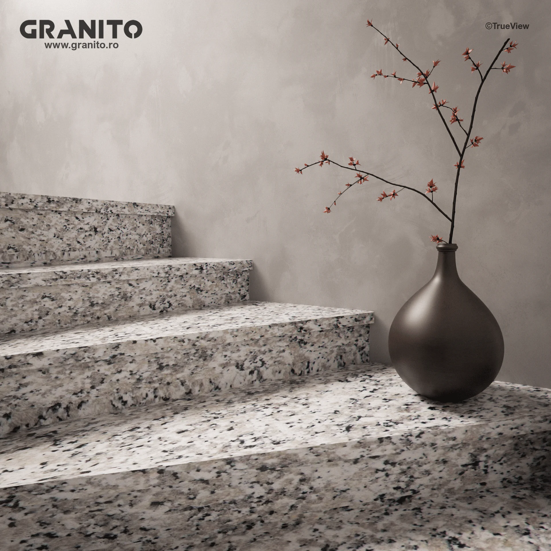 Trepte și Contratrepte Granit Bianco Sardo Periat - Image 2