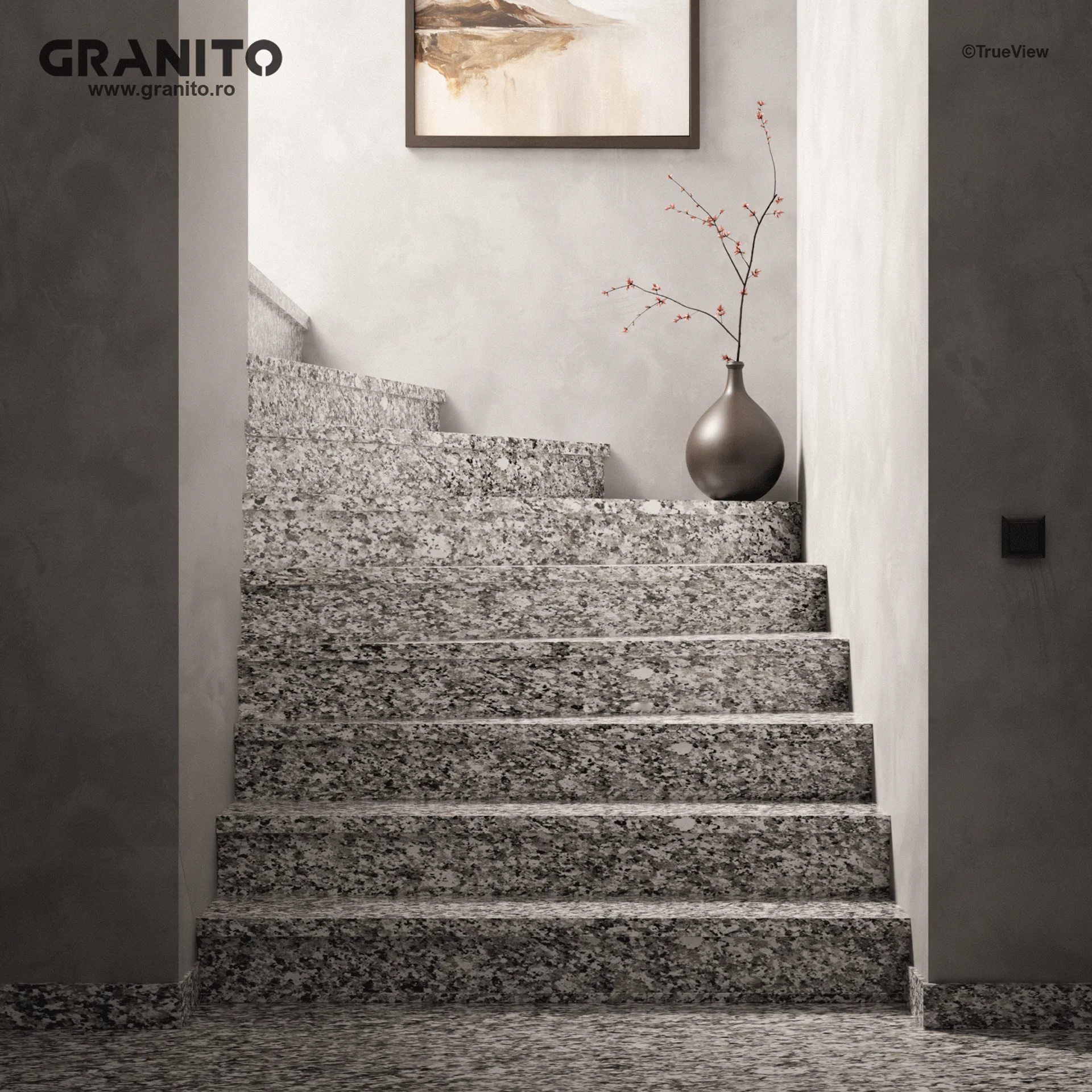 Trepte și Contratrepte Granit Bianco Sardo Lustruit - Image 1