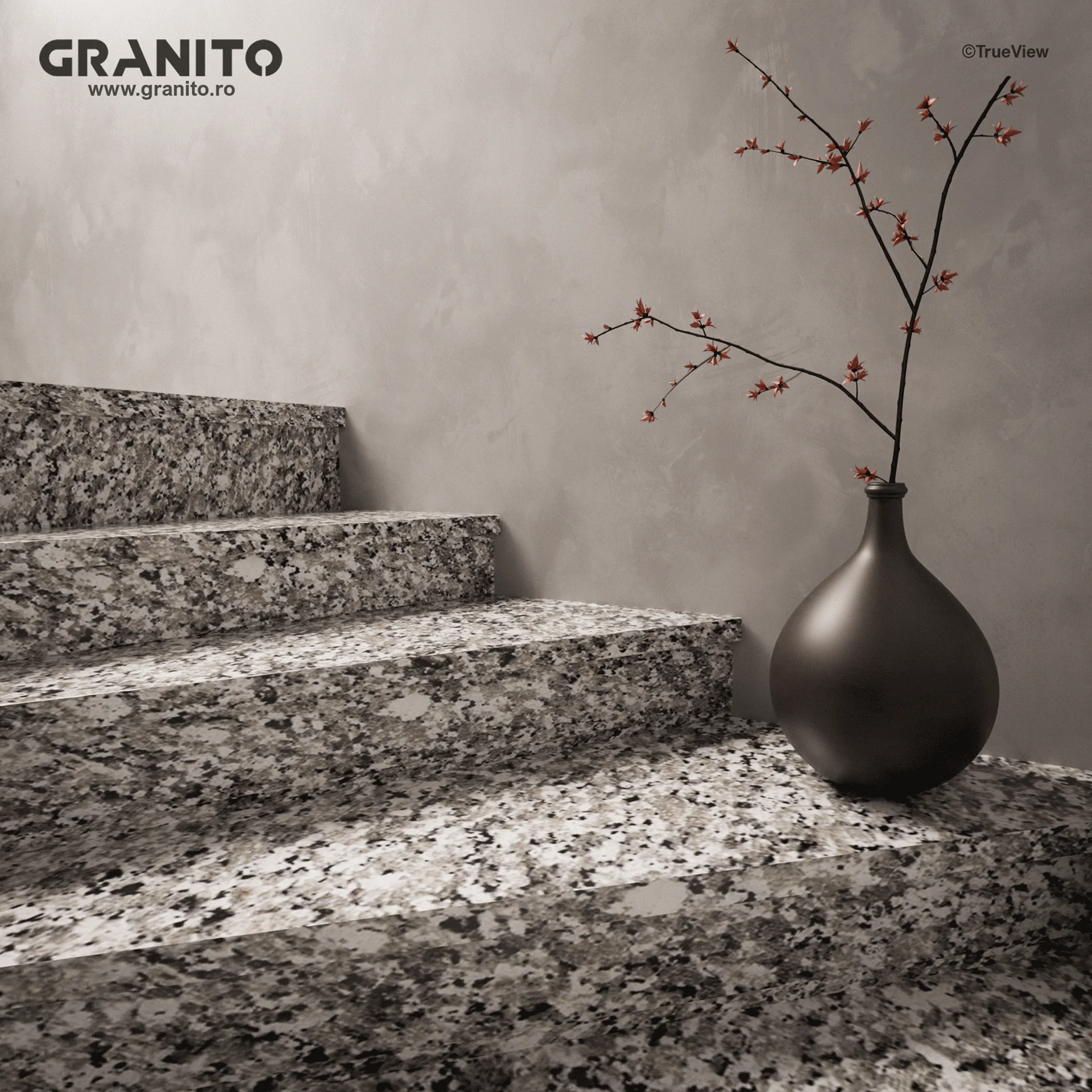 Trepte și Contratrepte Granit Bianco Sardo Lustruit - Image 2