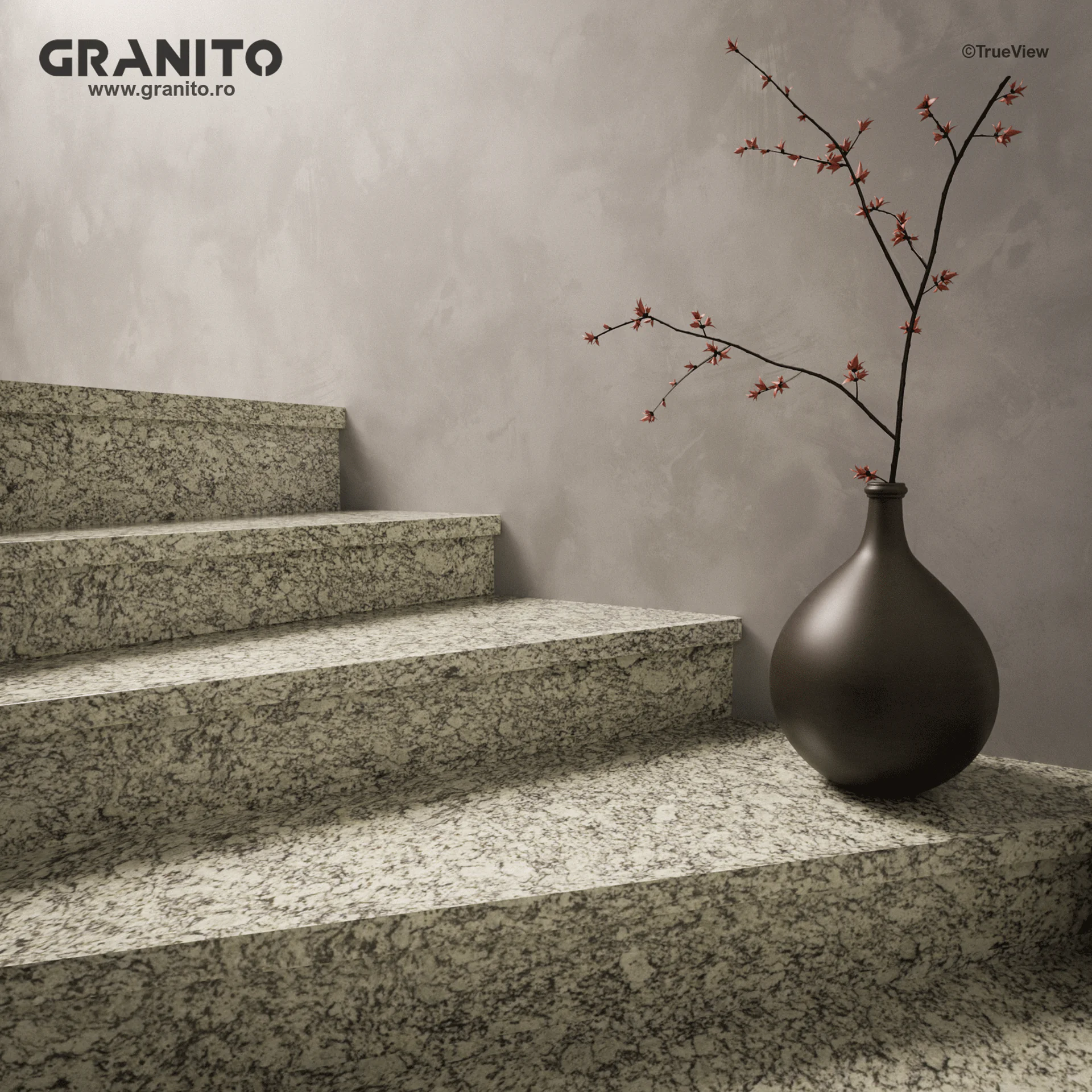 Trepte și Contratrepte Granit Bianco Fiesta - Image 2