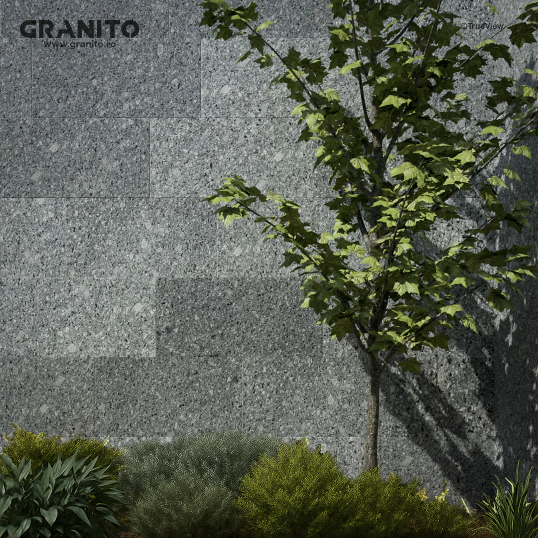 Placaje Exterior Andezit Pietroasa - Image 3