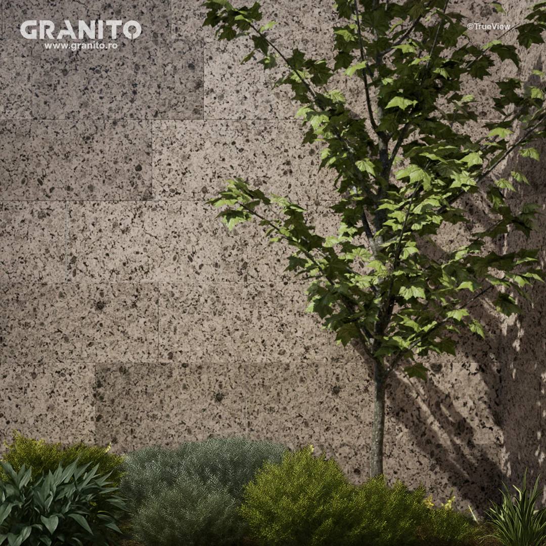 Granit Ghazal - Image 4