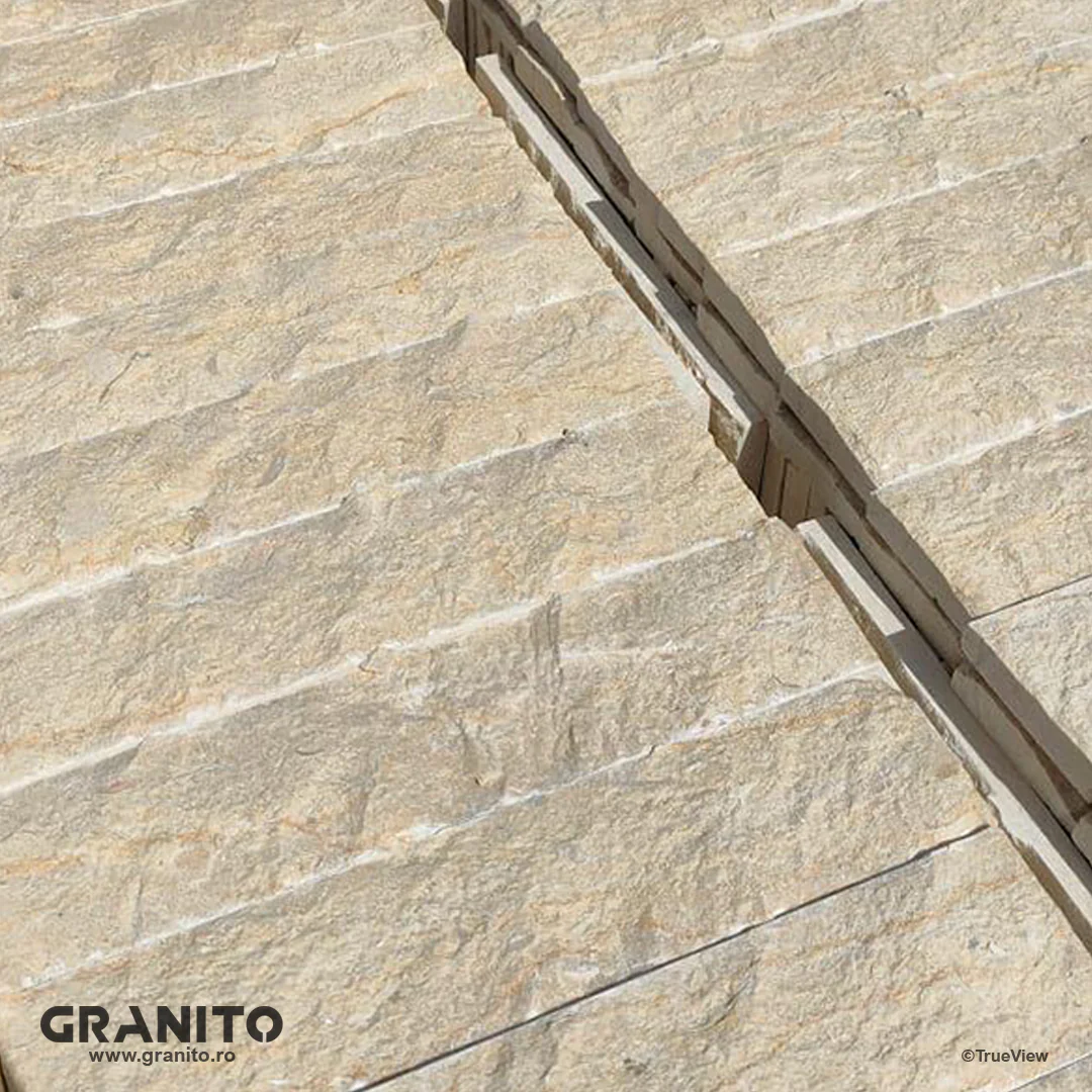 Șcapițat Marmură Silvia - Image 2